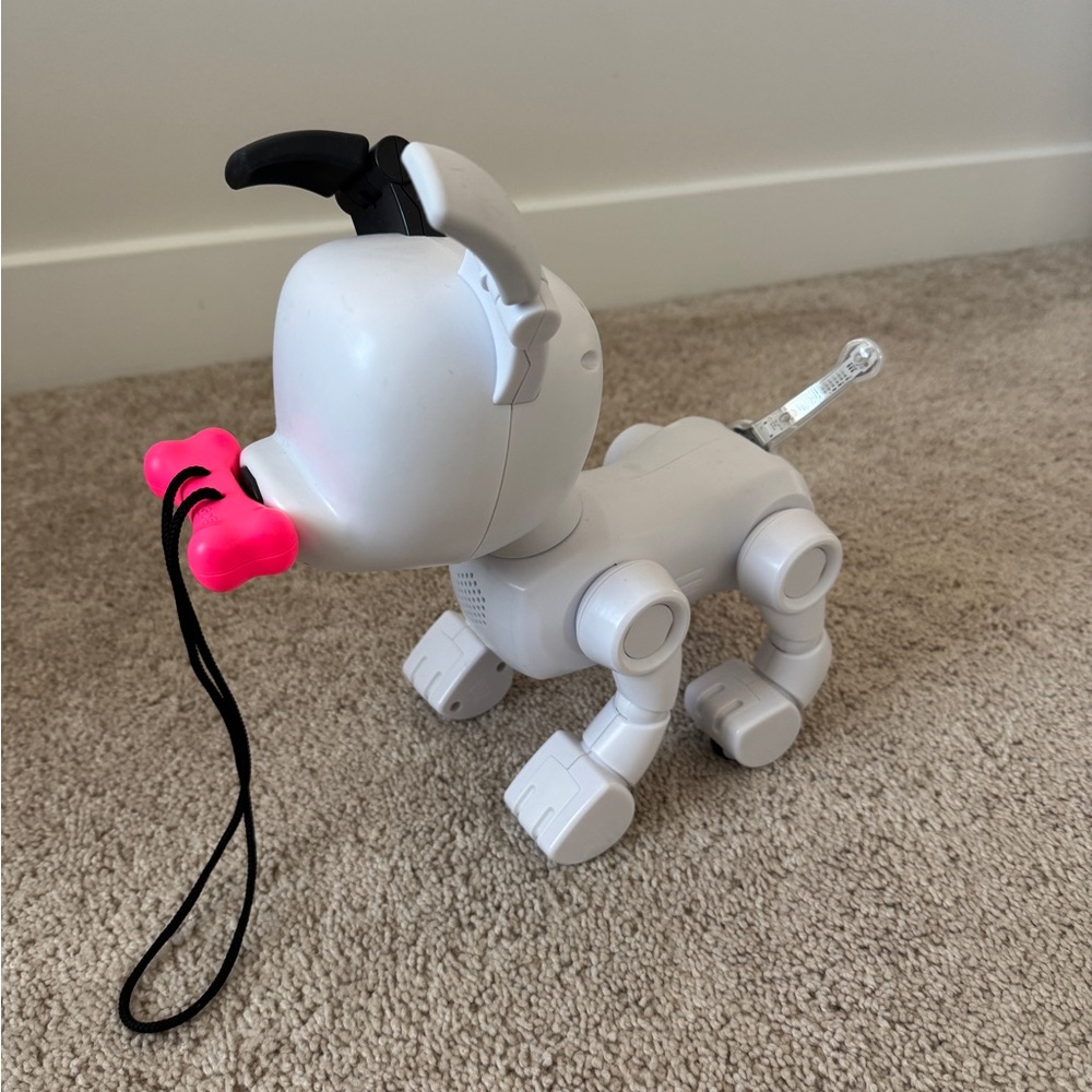 Interactive Dog Toy